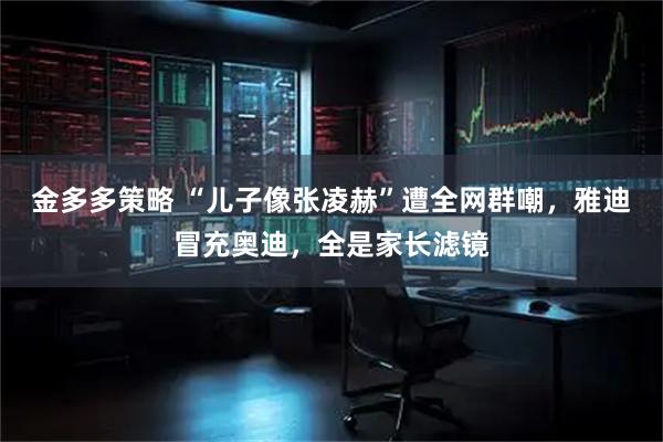 金多多策略 “儿子像张凌赫”遭全网群嘲，雅迪冒充奥迪，全是家长滤镜
