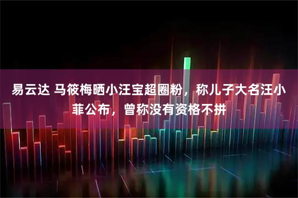 易云达 马筱梅晒小汪宝超圈粉，称儿子大名汪小菲公布，曾称没有资格不拼
